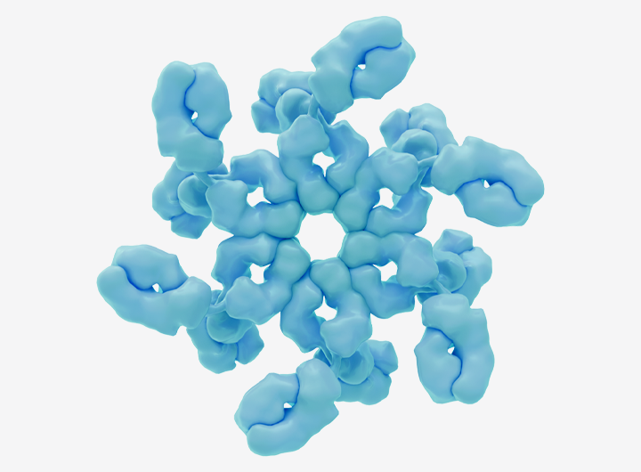 HexaBody®| Genmab
