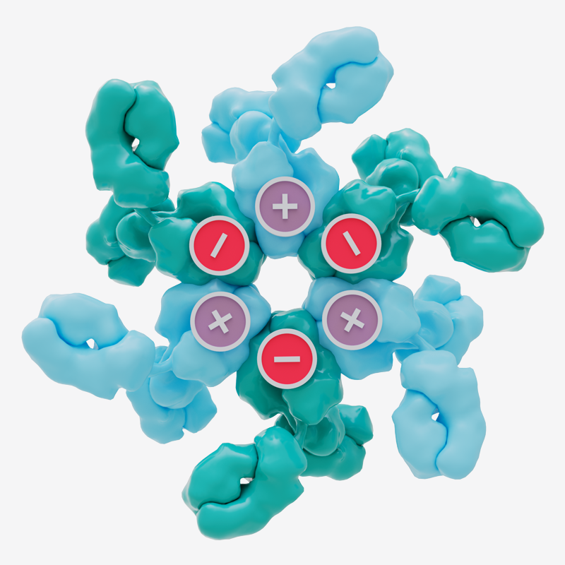 Antibody Technology Platforms | Genmab